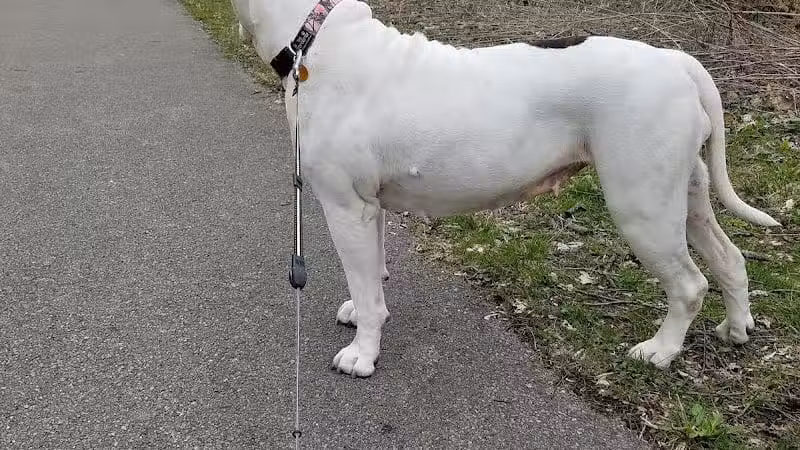 Huber Park - Reynoldsburg, OH