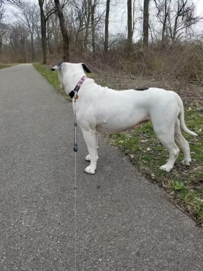 Huber Park - Reynoldsburg, OH