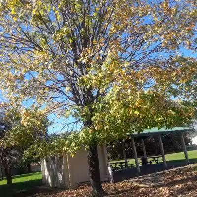 Independence Park - Reynoldsburg, OH