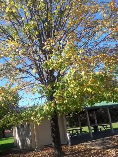 Independence Park - Reynoldsburg, OH