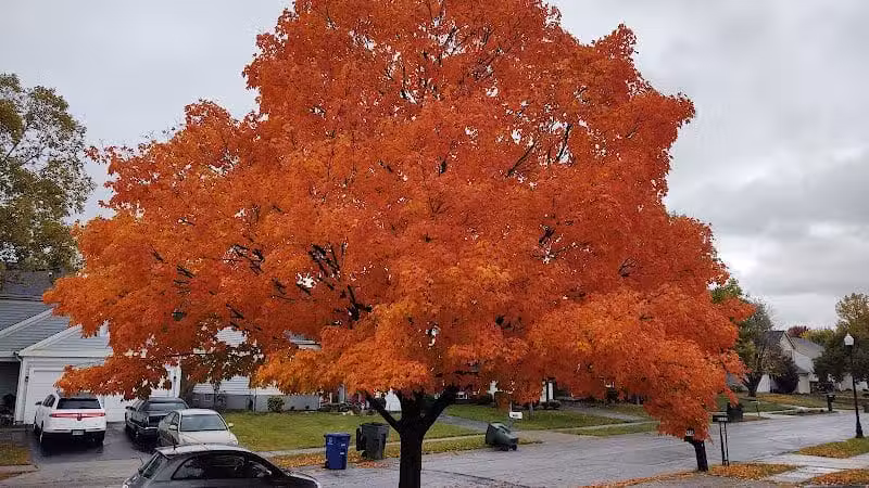 Independence Park - Reynoldsburg, OH