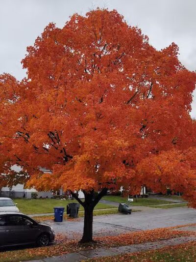 Independence Park - Reynoldsburg, OH