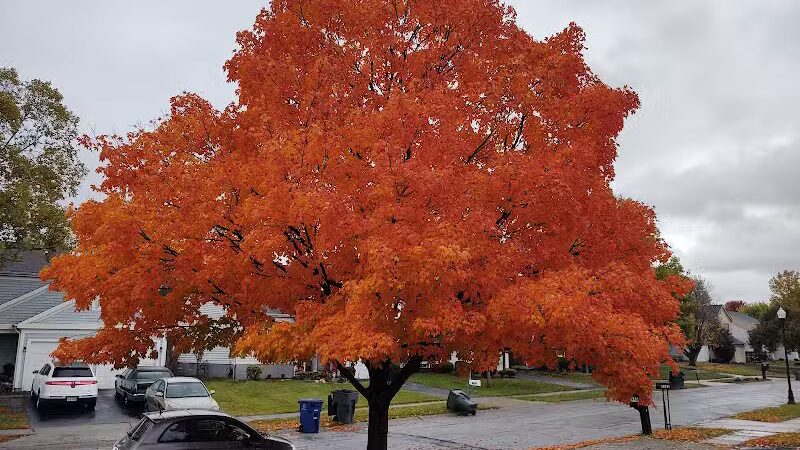 Independence Park - Reynoldsburg, OH
