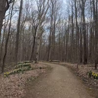Daffodil Trailhead - Richfield, OH