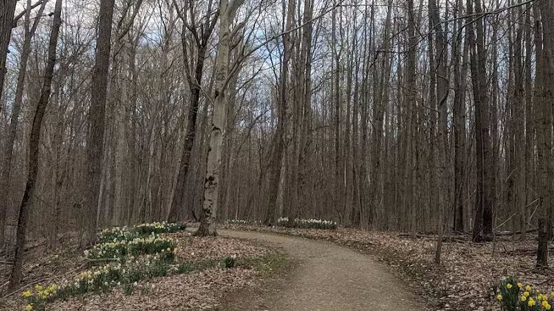 Daffodil Trailhead - Richfield, OH