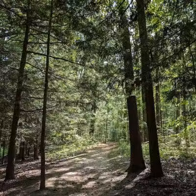 Daffodil Trailhead - Richfield, OH
