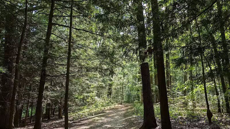 Daffodil Trailhead - Richfield, OH
