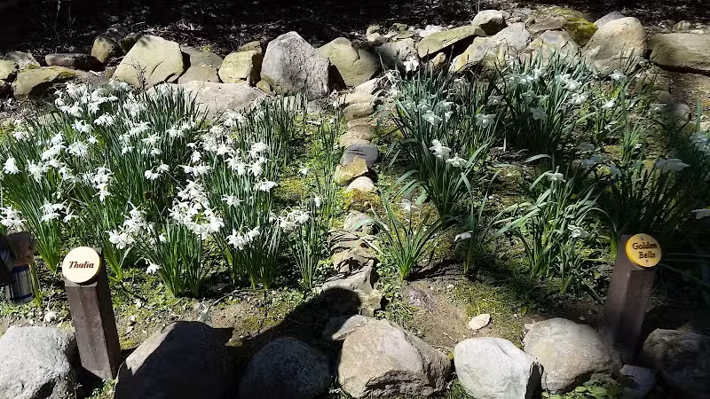 Daffodil Trailhead - Richfield, OH
