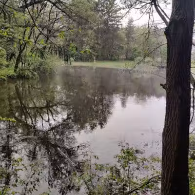 Eastwood Preserve - Richfield, OH
