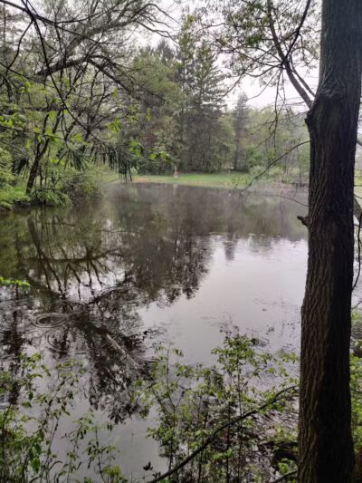 Eastwood Preserve - Richfield, OH