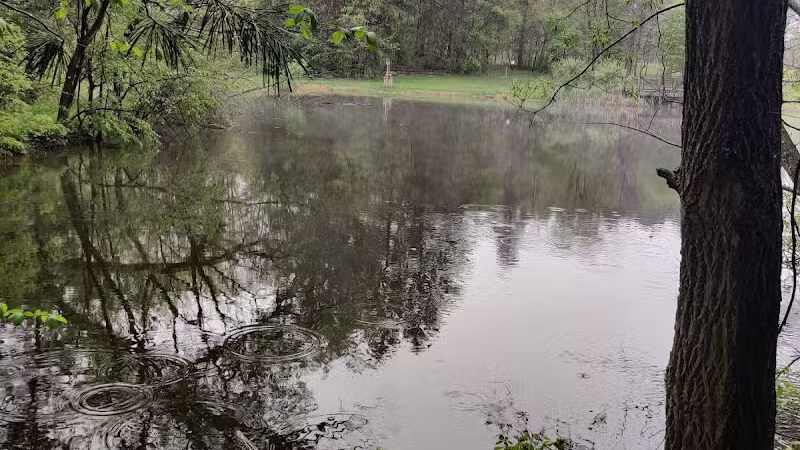 Eastwood Preserve - Richfield, OH