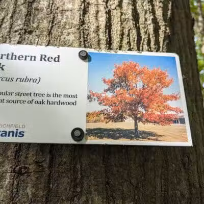 Eastwood Preserve - Richfield, OH