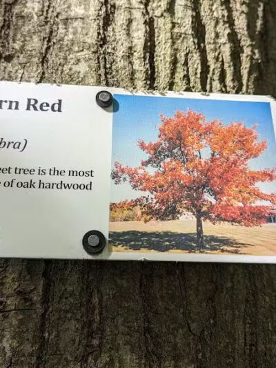 Eastwood Preserve - Richfield, OH