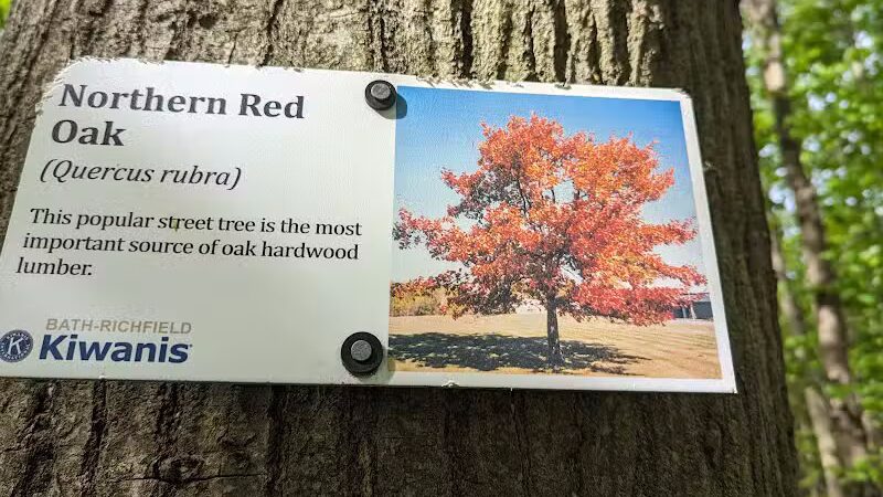 Eastwood Preserve - Richfield, OH