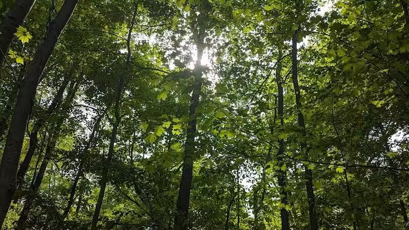 Eastwood Preserve - Richfield, OH