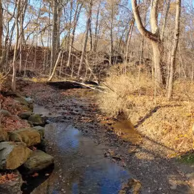 Furnace Run Metro Park - Richfield, OH