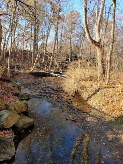 Furnace Run Metro Park - Richfield, OH