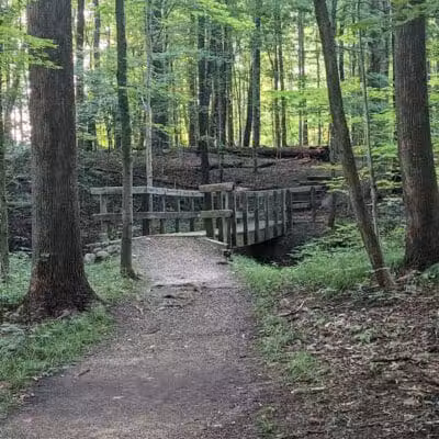 Furnace Run Metro Park - Richfield, OH