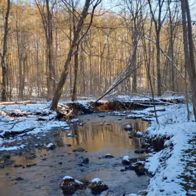 Furnace Run Metro Park - Richfield, OH