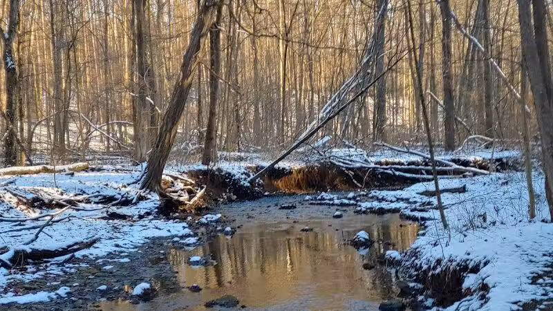 Furnace Run Metro Park - Richfield, OH