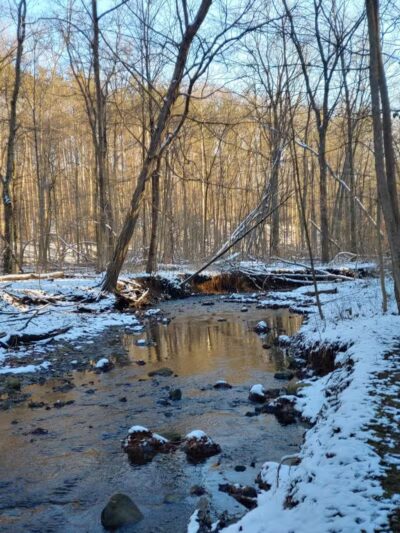 Furnace Run Metro Park - Richfield, OH