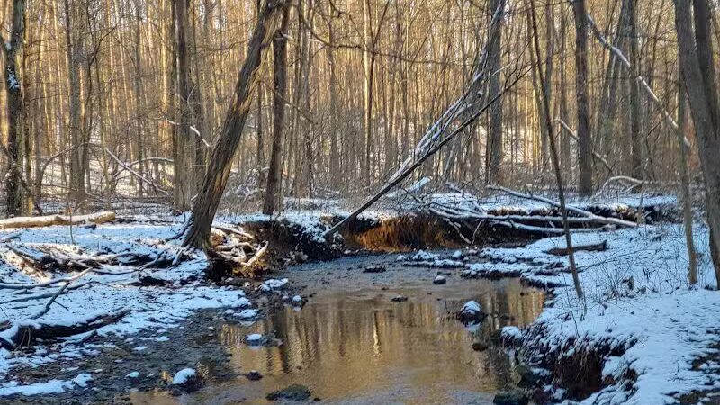 Furnace Run Metro Park - Richfield, OH