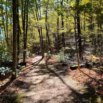 Furnace Run Metro Park - Richfield, OH
