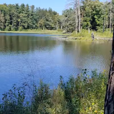 Lower Lake - Richfield, OH