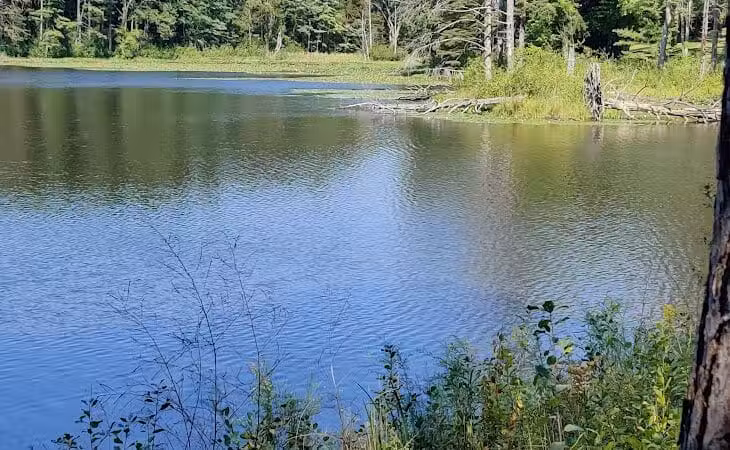 Lower Lake - Richfield, OH