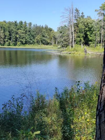 Lower Lake - Richfield, OH