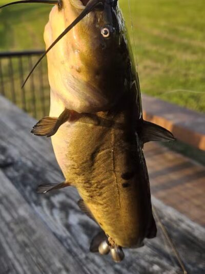 Richfield Township Catch & Release Pond with Dock & parking - Richfield, OH