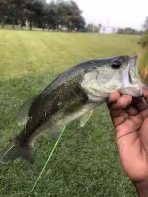 Richfield Township Catch & Release Pond with Dock & parking - Richfield, OH