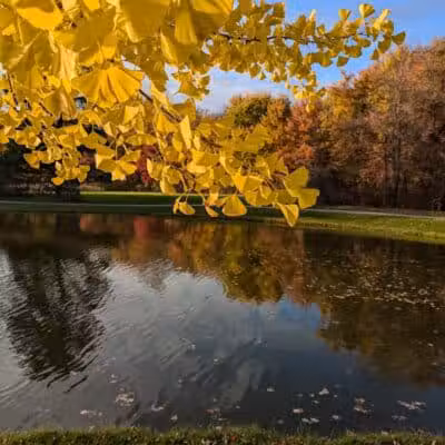 Richfield Woods Park - Catch and Release Pond - Richfield, OH
