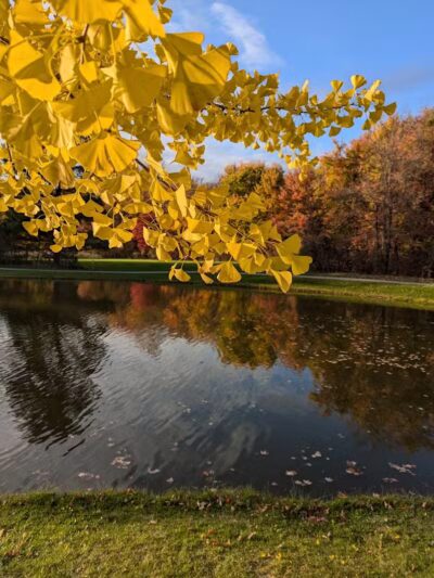 Richfield Woods Park - Catch and Release Pond - Richfield, OH