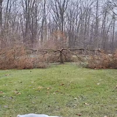 Richfield Woods Park - Catch and Release Pond - Richfield, OH