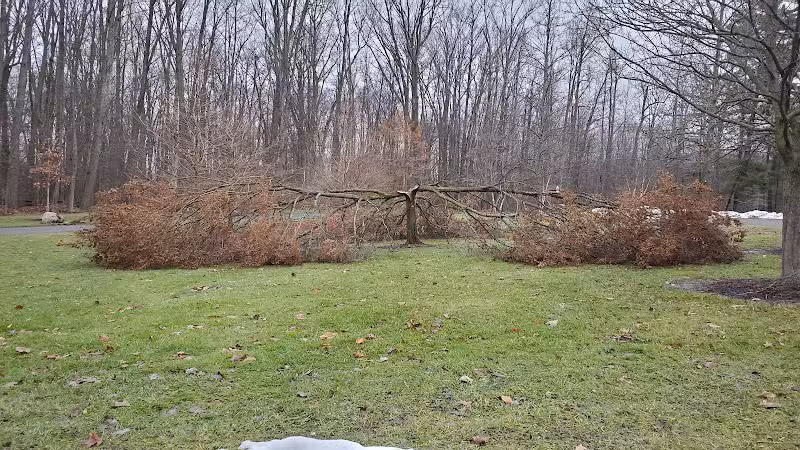 Richfield Woods Park - Catch and Release Pond - Richfield, OH