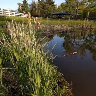 Richfield Woods Park - Catch and Release Pond - Richfield, OH