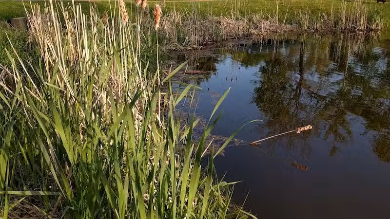 Richfield Woods Park - Catch and Release Pond - Richfield, OH