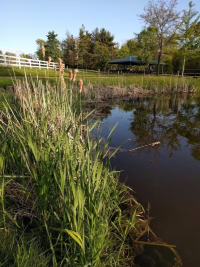Richfield Woods Park - Catch and Release Pond - Richfield, OH