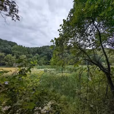 Jefferson Lake State Park - Richmond, OH