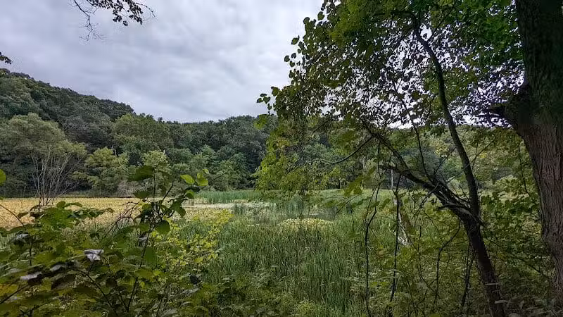 Jefferson Lake State Park - Richmond, OH