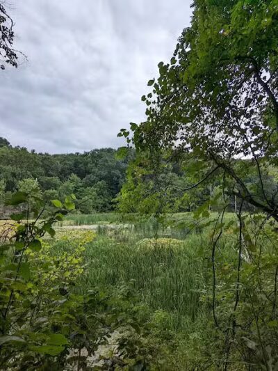 Jefferson Lake State Park - Richmond, OH