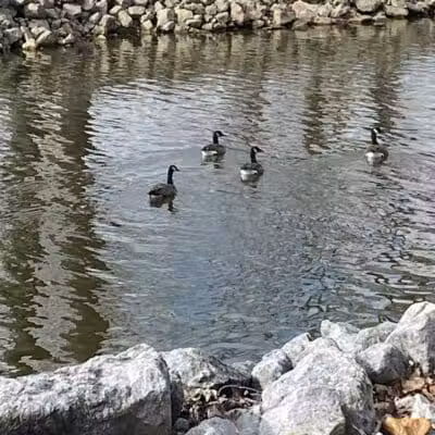 Richwood Lake, llc - Richwood, OH