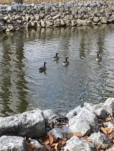 Richwood Lake, llc - Richwood, OH