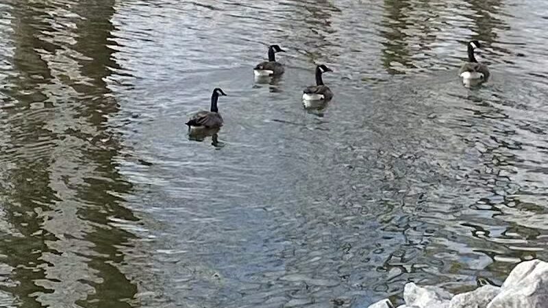 Richwood Lake, llc - Richwood, OH