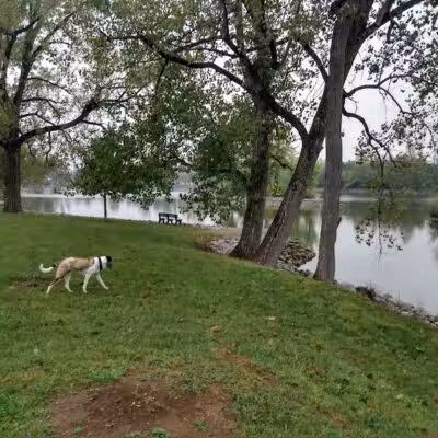 Richwood Lake, llc - Richwood, OH