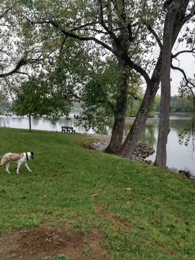 Richwood Lake, llc - Richwood, OH