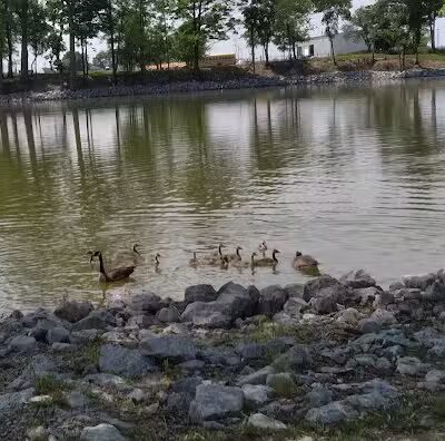 Richwood Lake, llc - Richwood, OH