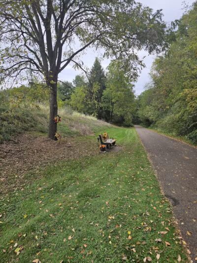County Line Trail - Rittman, OH
