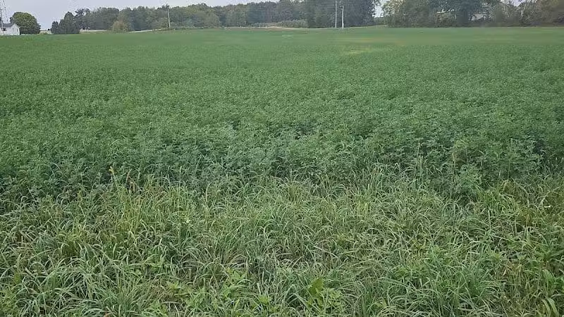 County Line Trail - Rittman, OH